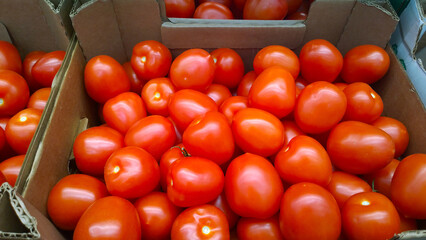 Fresh red tomatoes in boxes. Vegetables in local farmers market or supermarket. Rich harvest. Products supply. Retail industry. Rising food price. Inflation. Green grocery store. Shop. Agriculture.