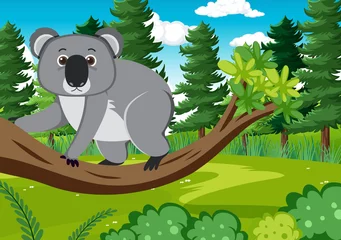 Koalas in the forest background © blueringmedia