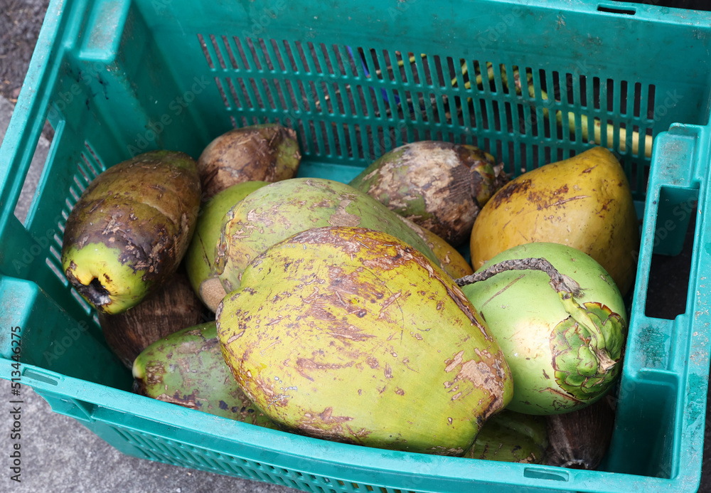 Wall mural container of coconuts