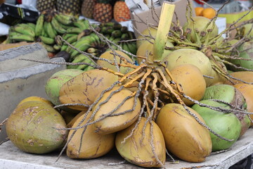 fresh coconuts 