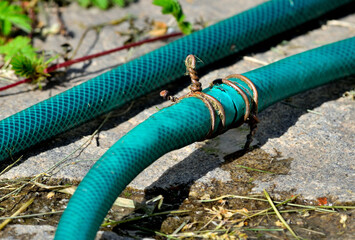 Hastily repaired garden irrigation hose on a summer day