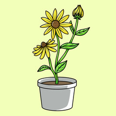 Sunflower in a pot. Sun flower with leaves, hand drawn vector illustration for clip art, sticker or element