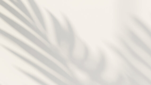 3D render nature concept, beautiful foliage tropical palm leaves shadow on empty white wall. Background, Backdrop, Natural, Summer, Beach, Sunlight, Eco, Tropicana, Space, Outdoor, Breeze, Pattern.