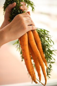 Kid Holding Bunch Of Carrots