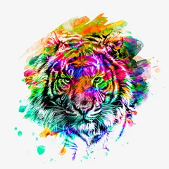 Fototapeten Bright abstract colorful background with tiger, paint splashes © reznik_val