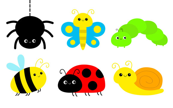 Ladybug ladybird, spider, bee bumblebee, butterfly, lady bug, caterpillar, snail. Insect set. Cute cartoon kawaii funny baby animal character. Flat design. Isolated. White background.