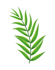 Exotic Palm Branch Composition