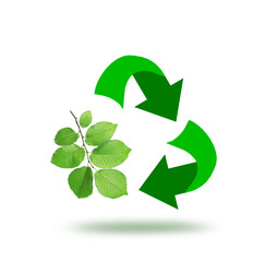 Recycling symbol made of arrows and branch with green leaves on white background