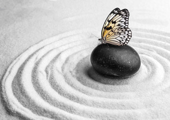 Fototapeta na wymiar Beautiful butterfly and stone on white sand with pattern. Zen concept