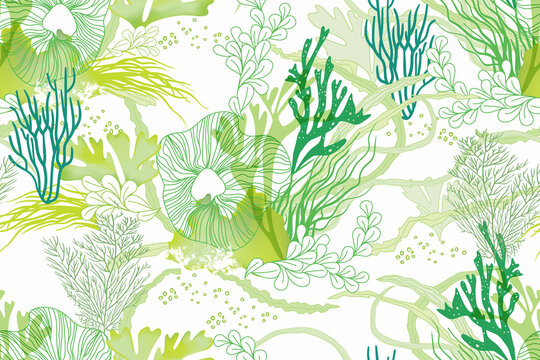 Hand drawn seamless vector pattern. Corals and algae on a white background for printing, fabric, textile, manufacturing, wallpapers. Sea bottom.