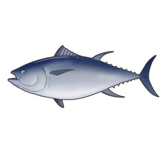 참치 물고기 일러스트