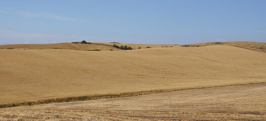 Obraz premium sand dunes in the desert