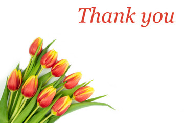 Postcard on it Red Yellow tulips on a White background and the text THANK YOU in Red letters. concept postcard, congratulation, invitation, announcement, advertisement. High quality photo