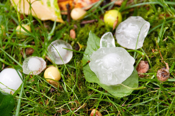 Gros grêlon transparent et irrégulier, grand comme une feuille, posé dans l'herbe à côté de grêlons plus petits