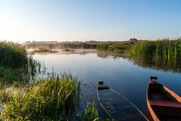 Letni poranek w Narwiańskim Parku Narodowym. Polska Amazonia, Podlasie, Polska © podlaski49