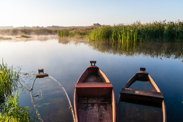Letni poranek w Narwiańskim Parku Narodowym. Polska Amazonia, Podlasie, Polska © podlaski49