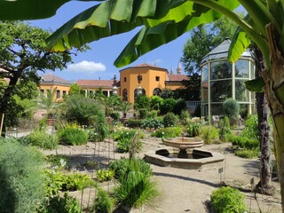 banana tree frame on a dream house