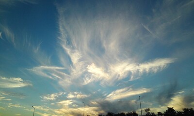 Cloud like a bird shape