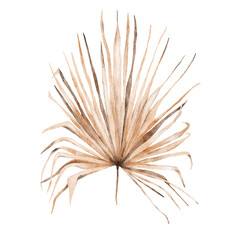 Obraz premium Tropical boho dried palm leaves floral set