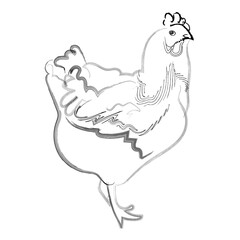 Hen - hand drawn sketch. Vector art illustration. black linear drawing on white background