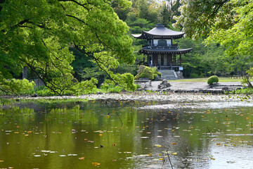 Fototapeta na wymiar 5月の京都市勧修寺の氷室池と観音堂