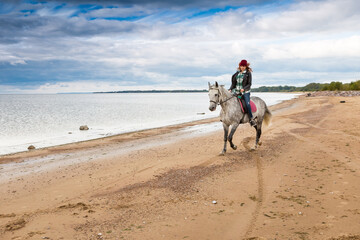 wearing jeans, jacket and fall hat female horseback raider gallops a dappled hackney along seaboard