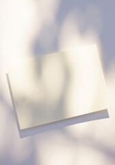 Blank paper mockup and floral shadow top view on white background . Copy space. Flat lay  minimal...