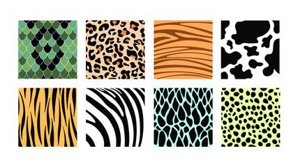 Fototapeta premium Set of colorful animal prints in cartoon style. Vector illustration of animal skin patterns with snakes, lizards, crocodiles, cows, tigers, leopards, zebras on white background.