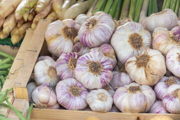 ail frais au marché