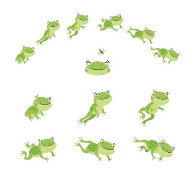 Frog Jump. Isolated Jumping Green Frogs, Motion Process Animation. Sequence Movement Character. Cute Cartoon Toad Leap, Nowaday Vector Scene