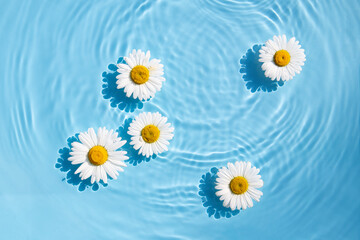 Chamomile flowers are floating, stains from a drop on the water. Top view, flat lay