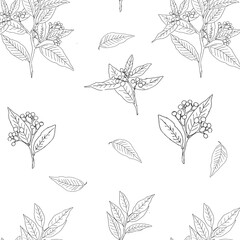 Hand drawn Vintage Flowers and Botanical Branches seamless Pattern. Elegant Floral Wallpaper. Nature Plant Collection. Sketch drawing style Greenary element. Vector