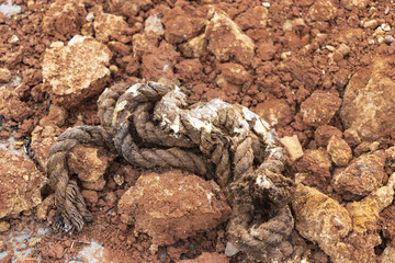 Soil on the ground as texture and background.