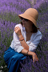 Purple lavender field, flowering lavender bushes. Pastel colors background. Soft feeling of a dream.