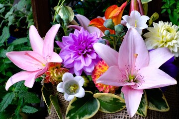 初夏の花アレンジメント