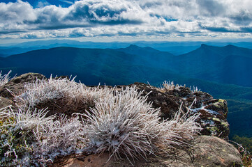 View towards the Rzorback and the Viking from the summit of Mt. Howitt, Alpine NP, Australia