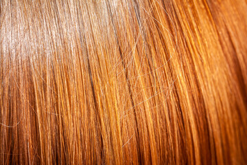 Close up of little girls long hair