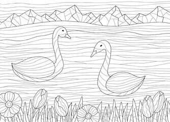 Swan coloring graphic black white landscape sketch illustration vector