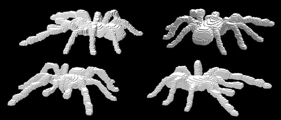 Tarantula spider made from cubes. Voxel art. Futuristic concept. 3d Vector illustration. Dimetric projection.