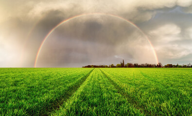 Rainbow over green meadow with road
