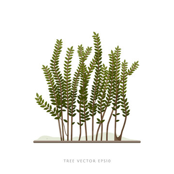 Creeper plant with leaves and branches vector illustration on white background