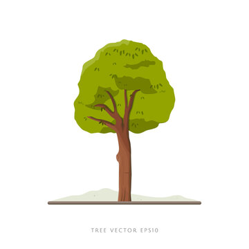 Tree vector illustration on white background, landscape decoration element