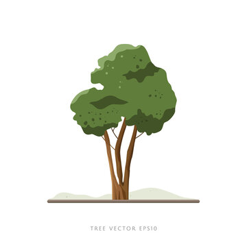 Tree vector illustration on white background, landscape decoration element