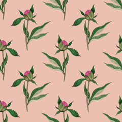 Fototapeta premium Watercolor peony seamless pattern on blush pink background. Hand-drawn floral print for wallpaper, fabric, wrapping paper, scrapbooking. Botanical ornament in vintage style