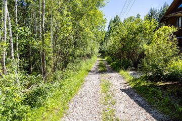 dirt road with ruts covered with gravel in holiday village on sunny summer day
