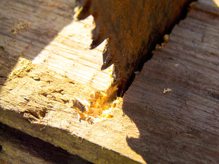 Sawing wood with a saw