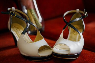 The bride shoes