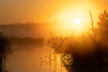 Calm at the sunrise. Great Kemeri Bog. Kemeri, Latvia. Travel Baltic countries