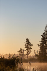 Serenity in Great Kemeri Bog. Sunrise. Kemeri, Latvia. Travel Baltic countries