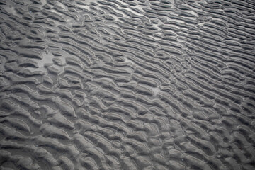 Horizontal photo representing a texture of grayish and wet beach sand after a wave